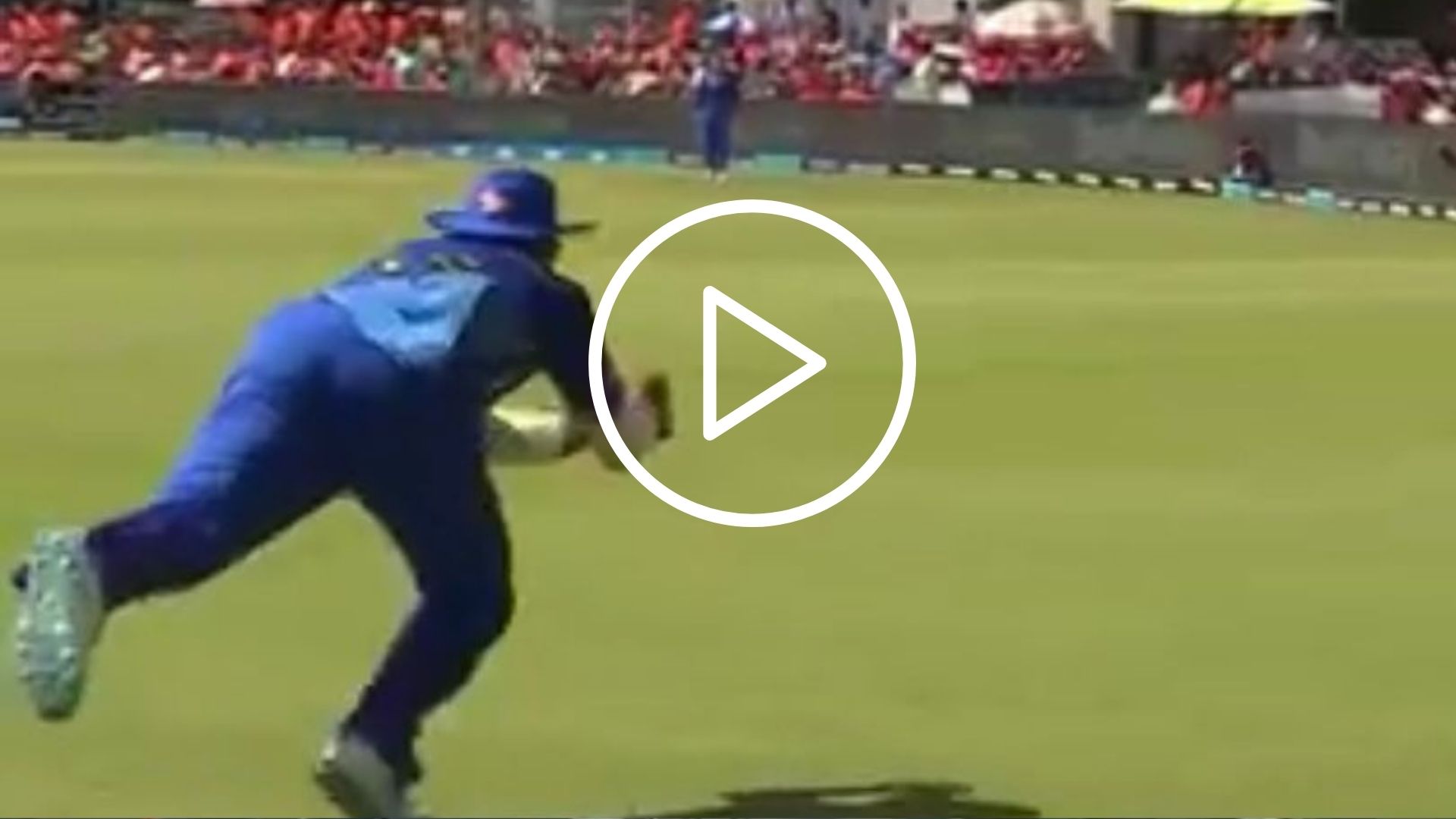 [Watch] Kieron Pollard's Stunning Catch Proves Lethal For Aiden Markram In SA20 2024